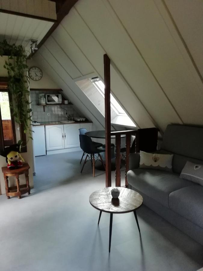 Romantic Studio Vacances Labaroche Exterior foto